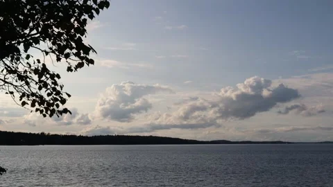 Leaf and branch at a lake. Stock Footage 255967032