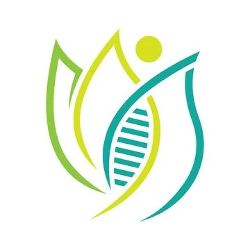 Leaf And DNA Logo Stock Illustration