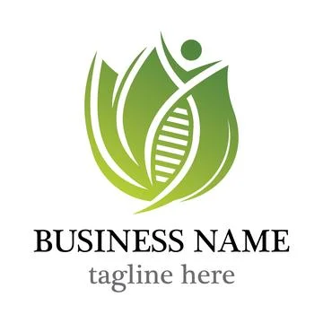 Leaf And DNA Logo Stock Illustration