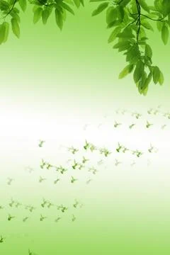 Leaf and dove Stock Photos