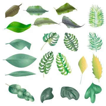 Leaf and icon Set Vector Illustration Stock Illustration
