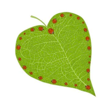 Leaf and ladybugs Stock Illustration