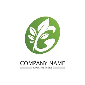 LEAF AND NATURE TREE LOGO FOR BUSINESS VECTOR GREEN PLANT ECOLOGY DESIGN 스톡 일러스트