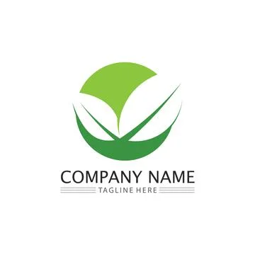 LEAF AND NATURE TREE LOGO FOR BUSINESS VECTOR GREEN PLANT ECOLOGY DESIGN Stock Illustration
