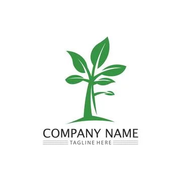 LEAF AND NATURE TREE LOGO FOR BUSINESS VECTOR GREEN PLANT ECOLOGY DESIGN Illustrazione stock