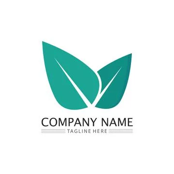 LEAF AND NATURE TREE LOGO FOR BUSINESS VECTOR GREEN PLANT ECOLOGY DESIGN Stock Illustration