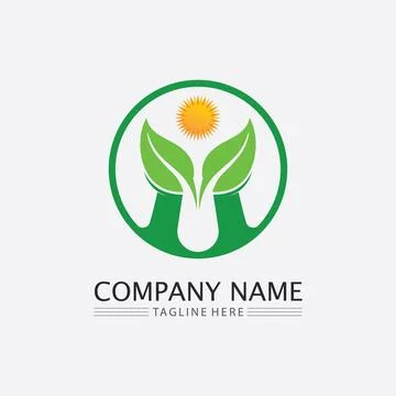LEAF AND NATURE TREE LOGO FOR BUSINESS VECTOR GREEN PLANT ECOLOGY DESIGN Stock Illustration
