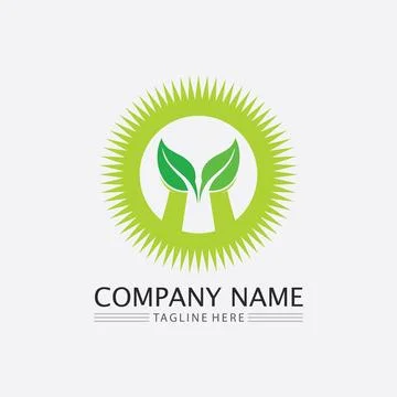 LEAF AND NATURE TREE LOGO FOR BUSINESS VECTOR GREEN PLANT ECOLOGY DESIGN Illustrazione stock