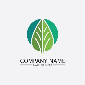 LEAF AND NATURE TREE LOGO FOR BUSINESS VECTOR GREEN PLANT ECOLOGY DESIGN Stock Illustration