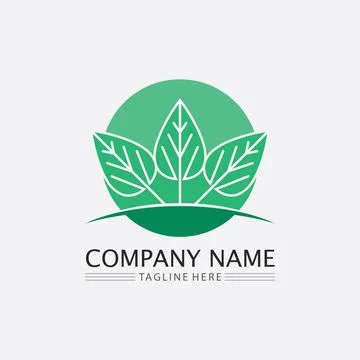 LEAF AND NATURE TREE LOGO FOR BUSINESS VECTOR GREEN PLANT ECOLOGY DESIGN Stock Illustration