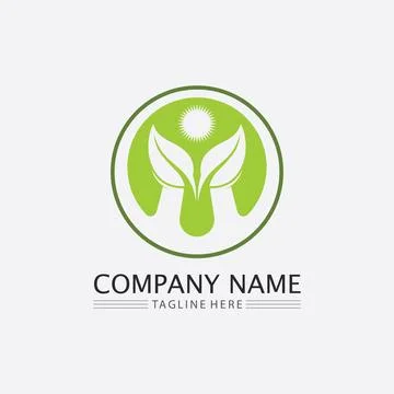 LEAF AND NATURE TREE LOGO FOR BUSINESS VECTOR GREEN PLANT ECOLOGY DESIGN Illustrazione stock