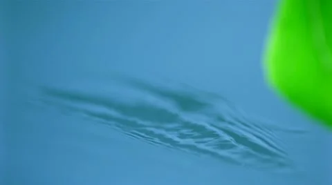 Leaf and pond, Slow Motion Stock Footage 9303819