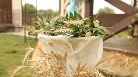 Leaf and spikelet wines 2 Stock Footage 136785127