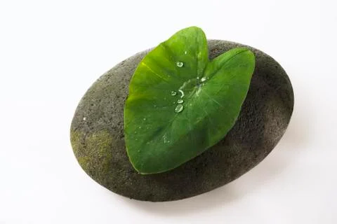 Leaf and stone Stock Photos