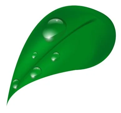Leaf and water drops on a white background Stock Illustration