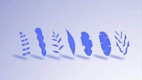 Leaf animation Stock Footage 123857891