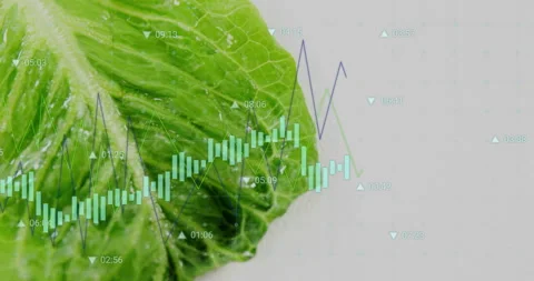 Leaf appearing with candlesticks growing, dipping and line graph spiking to show 動画素材 312694581