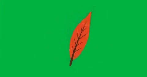 Leaf appearing on transparent canvas glow pulsing veins glitch pixels drifting Stock Footage 317456488