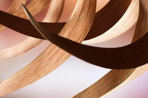 Leaf arcs Stock Photos