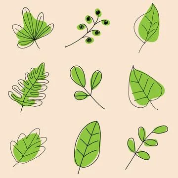The leaf art drawing for spa or cafe nature concept vector image. Stock Illustration