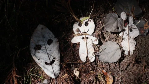 Leaf art on Hiking Trail, close up 스톡 동영상 134870532