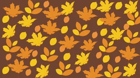 Leaf autumn Video stock 304399711