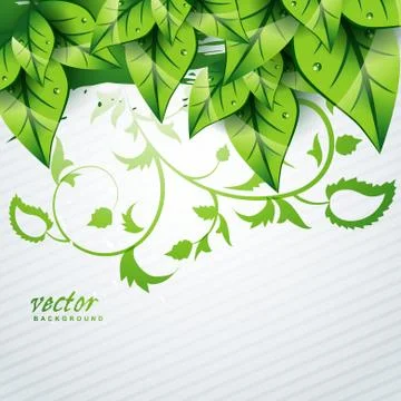 Leaf background Stock Illustration