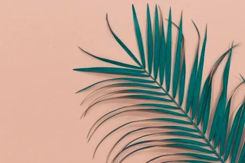 Leaf background Stock Photos