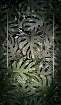 Leaf background text frame natural background 3D illustration Stock Illustration