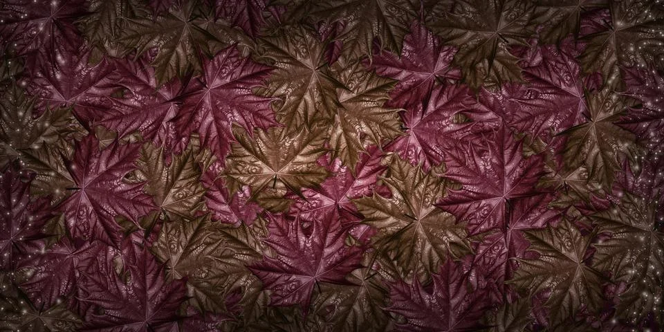 Leaf background text frame natural background 3D illustration Stock Illustration
