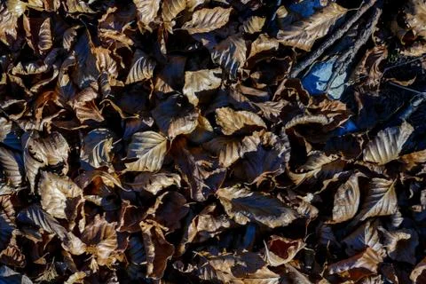 Leaf Background Texture Pattern Foto stock