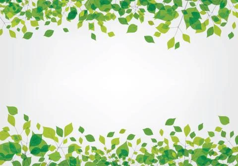 Leaf Background Vector design 스톡 일러스트