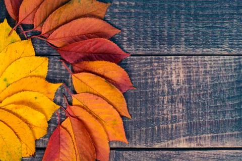 Leaf background on a wooden table Stock Photos