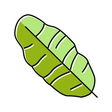 Leaf banana color icon vector illustration Stock Illustration