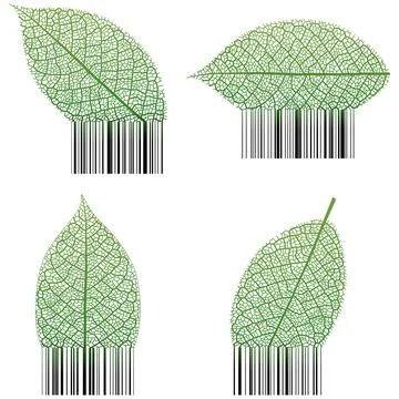 Leaf Barcode 스톡 일러스트