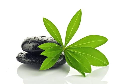 Leaf with basalt stones Stock Photos