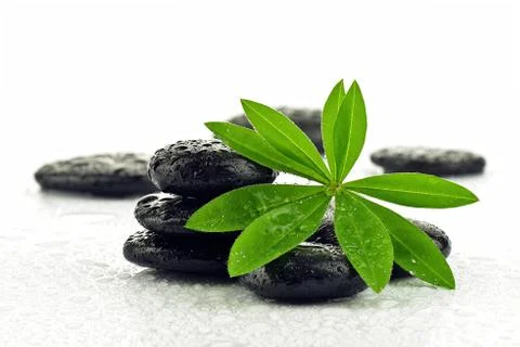 Leaf with basalt stones Stock Photos