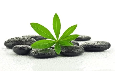 Leaf with basalt stones Stock Photos