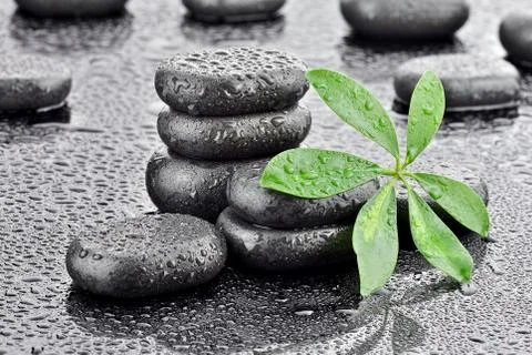 Leaf with basalt stones  Stock Photos