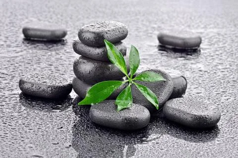 Leaf with basalt stones  Stock Photos