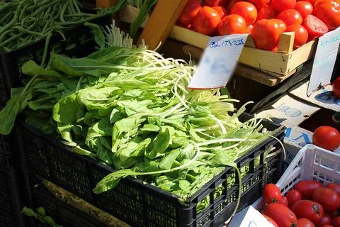 Leaf beet Stock Photos