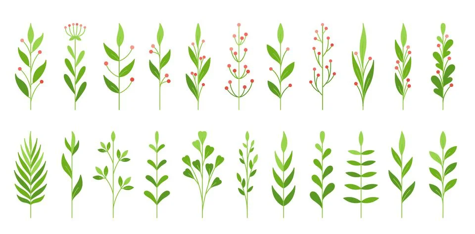 Leaf berries green flat spring branch brush set Stock Illustration