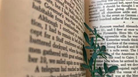 A leaf between book pages. Stock Footage 163088810