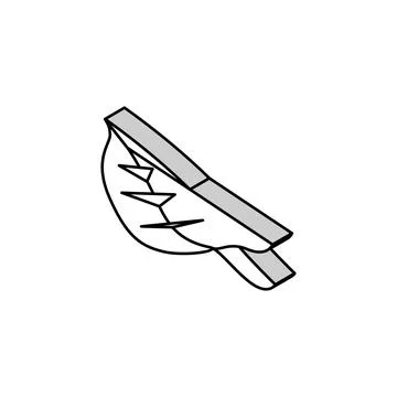 Leaf birch autumn isometric icon vector illustration Stock Illustration