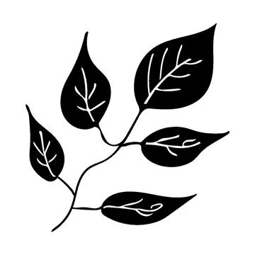 Leaf black silhouette - 1 Stock Illustration