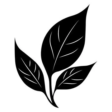 Leaf black vector icon on white background Stock Illustration