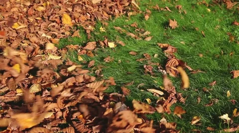 Leaf blower in action Stock Footage 68055894