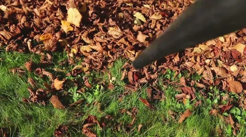 Leaf blower in action Stock Footage 68081954