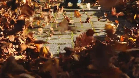 Leaf blower in action Stock Footage 69098363