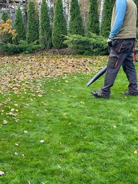 Leaf Blower Clearing Fallen Leaves from Lawn Stock Photos
